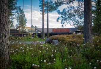 Hotel Mesik  mmen allows 18 year olds to book a room
