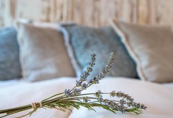 LAAREIND Bed & Breakfast allows 18 year olds to book a room