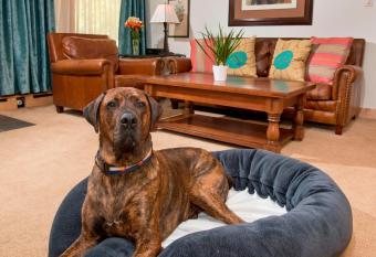 Lodge at Vail Dog Friendly C139 has Balcony rooms