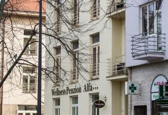 Penzion Alfa Pod  brady has Balcony rooms