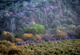 Lions Rock Rapids - Luxury Tented Camp has Balcony rooms