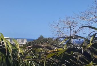 Jayid Homestay Nyali allows 18 year olds to book a room