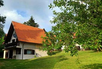 Kuca za odmor Zlatibor has Smoking/Balcony rooms