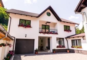 Vila Rodica Transalpina has Balcony rooms
