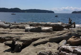 Oceanfront Suite has Balcony rooms