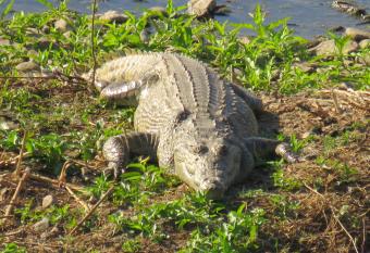Riverview Inn has Balcony rooms