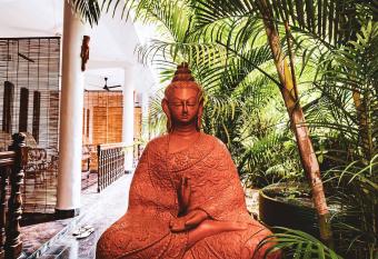 Palm Tree Hotel has Balcony rooms