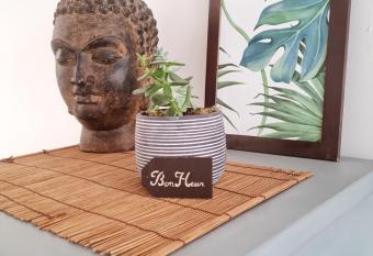 maison style appartement    B  thune allows 18 year olds to book a room