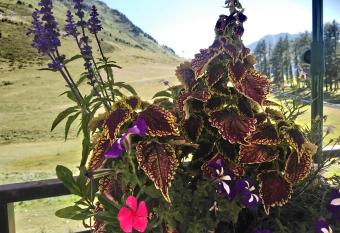 STUDIO en PLEINE MONTAGNE AVEC VUE SUR MARMOTTES has Balcony rooms