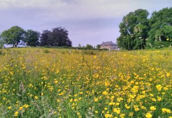 Castletownmoor Clinic & Permaculture Farm allows 18 year olds to book a room
