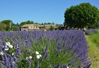 Mas de l Amme allows 18 year olds to book a room