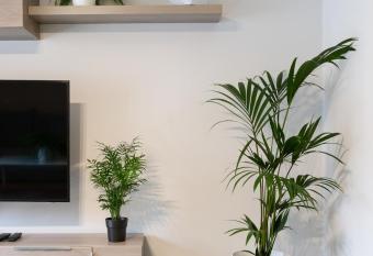 Apartamentos Circulo De Artistas allows 18 year olds to book a room