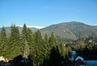 Grandpa s hidden crib, 6 bedroom, pet friendly allows 18 year olds to book a room