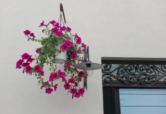 Tambien B&B allows 18 year olds to book a room