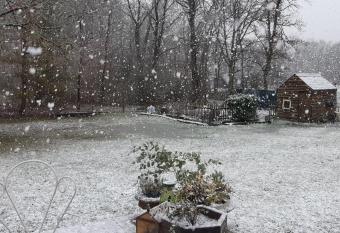 La maison bois allows 18 year olds to book a room