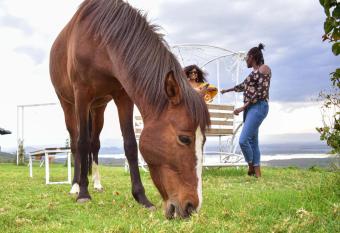 Lemon Valley Farm has Smoking/Balcony rooms