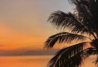 Kobe s Beachfront Haven has Balcony rooms