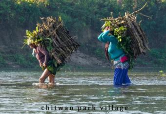 Hotel Chitwan Park Village has Balcony rooms