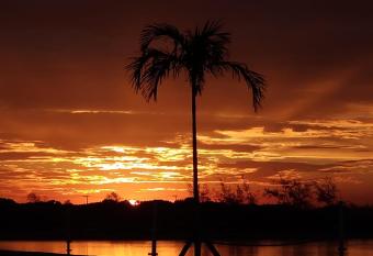 apart-hotel Golden Lake has Balcony rooms