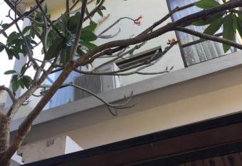 Villa Griya Harum allows 18 year olds to book a room