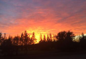 Tree Tops Guest Farm has Balcony rooms