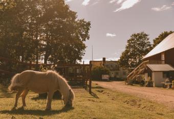 Toric Farmlodge allows 18 year olds to book a room