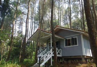 The Pine Forest Villas allows 18 year olds to book a room