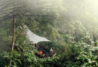 Four Seasons Tented Camp Golden Triangle-SHA Extra Plus has Balcony rooms