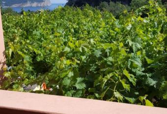 Apartments Marina has Balcony rooms