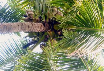 SiBoya Bungalows has Balcony rooms