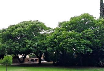 Le Mas des Vergers allows 18 year olds to book a room