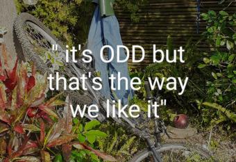 Vincentia Odd Cottage ( self catering) allows 18 year olds to book a room