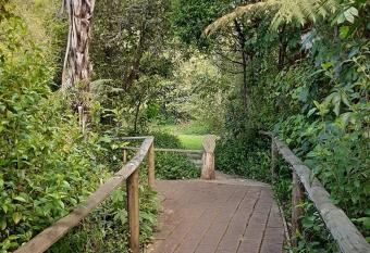 Buena Vista Apartment allows 18 year olds to book a room