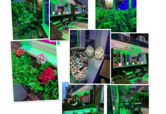 Danescourt Lodge allows 18 year olds to book a room