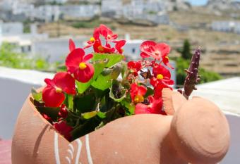Pension Ilias has Balcony rooms