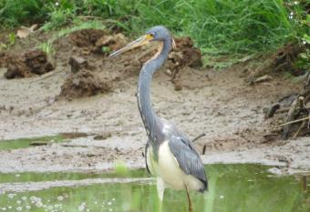 Poponjoche Lodge Ca  o Negro has Balcony rooms