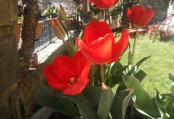 Gabarre has Balcony rooms