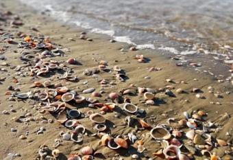 AzzurRomare Flat apartment has Balcony rooms