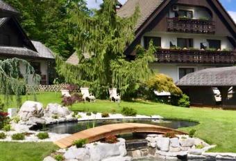 Alp Pension has Balcony rooms