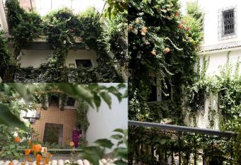 Bougainvillea Riad allows 18 year olds to book a room