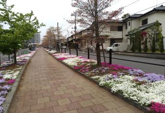 Guesthouse Shang has Balcony rooms