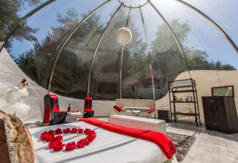 Bulles de Sologne - H  bergements insolites de luxe has Balcony rooms