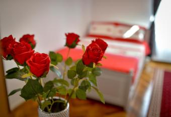 B  LCESCU RESIDENCE allows 18 year olds to book a room