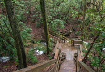 Creekside has Balcony rooms