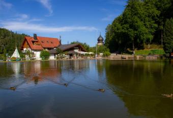 Self-check-in Ferienwohnungen & Apartments am Bergsee has Balcony rooms