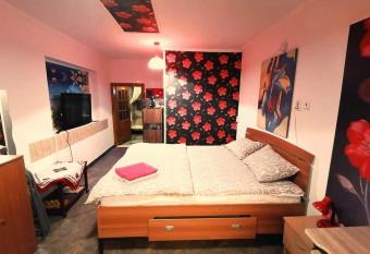 Hostel Pascalis Alesd has Balcony rooms