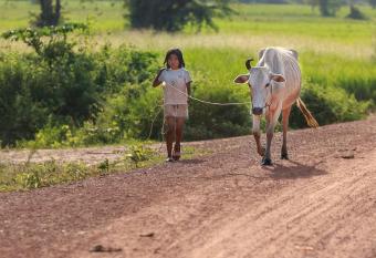 Chansor Community Homestay 1 allows 18 year olds to book a room