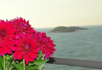Hotel Meta Ksamil has Balcony rooms