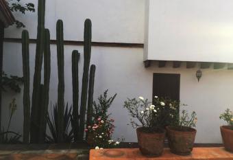 Las Alamedas Departamentos Caintricos Con Estacionamiento Privado has Balcony rooms