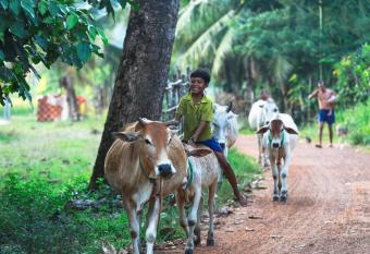 Chansor Community Homestay 2 allows 18 year olds to book a room